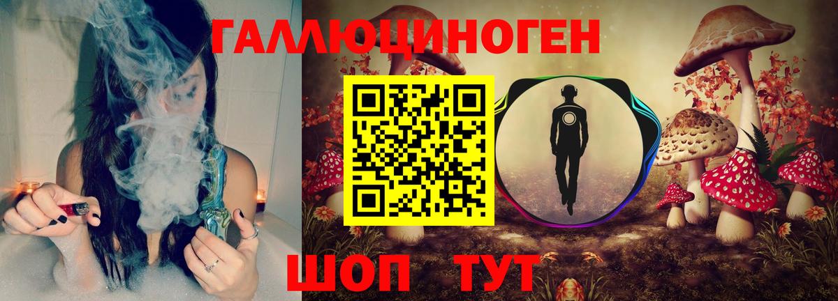 Псилоцибиновые грибы Cubensis Владимир